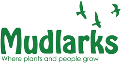 Mudlarks